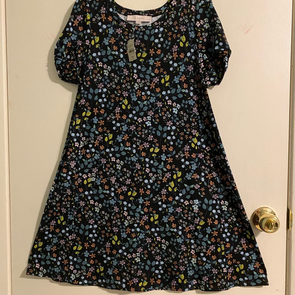 Loft Swing Dress